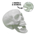 Cranio Esqueleto Neon Com Articulação Decoração Halloween - comprar online