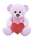 Urso Rosa Coração 33cm Pelúcia Fofy Toys - comprar online