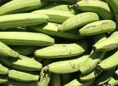 2,5kg Banana Cavendish orgánica