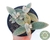 SUCULENTA KALANCHOE ERIOPHYLLA POTE 11 - comprar online