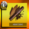 HABANO CUBANO - NUEVO SABOR PREMIUM - PANORAMIX TIENDA