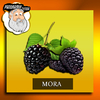 MORA - BLACKBERRY