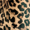 leopardo