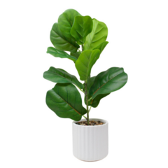 Planta Artificial tipo Pandurata 43 cm (PA1)