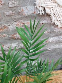 Planta Artificial tipo palmera 37 cm (FA205) en internet