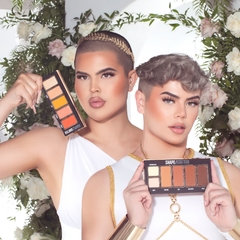 BPERFECT: (incluye ambas paletas) X ZACKARY VANG AND COHLSWORLD – SHAPE SHIFTER PALETTE en internet