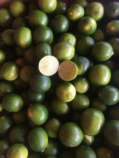 Limon Tahití x kilo - comprar online