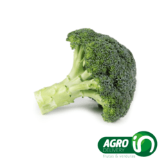 BROCOLI Unidad - comprar online