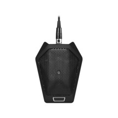 Audio-Technica U891RbO