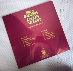 King Gizzard And The Lizard Wizard - Teenage Gizzard Vinil - comprar online