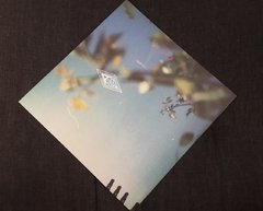 Adorno - Year Two LP + CD - comprar online