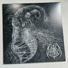 Ill Omen - Divinity Through Un-Creation Vinil