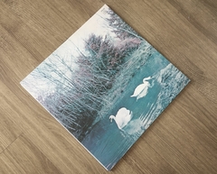 Affinity - Affinity LP - comprar online