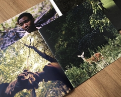 Childish Gambino - Camp 2xLP (Usado) - loja online