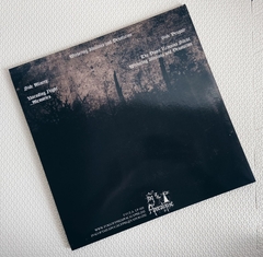 Austere - Withering Illusions And Desolation Vinil 2007 - comprar online
