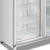 Freezer Exhibidor Vertical Frider Bt2 2 Puertas en internet