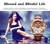Relógio Feminino de luxo LOREO 1101 À Prova D'Água - loja online