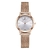 Relógio de Quartzo Feminino IBSO B3630 À Prova D'Água - comprar online