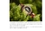 Relógio de Madeira Bobo Bird GPT010 À Prova D'Água na internet