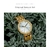 Relógio de luxo Feminino BOBO BIRD GT096 À Prova D'Água - loja online