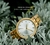 Imagem do Relógio de luxo Feminino BOBO BIRD GT096 À Prova D'Água