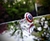 Anillo Capitán America en internet