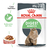 Royal Canin Digestive Care Pouch 85Gr - comprar online