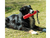 Juguete Palo Flotador Con Soga Para Perros Cancat en internet