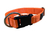 Collar Regulable Premium Reforzado XL Para Perros Lyon Pet en internet