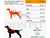 Pretal Arnes Acolchado Premium Para Perros Lyon Pet - comprar online