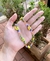Colar em miçangas coloridas florzinhas amarelas - comprar online