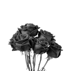 Rosa Negra - Comprar en Bio Tienda