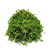 Musgo Artificial P/ Arranjos e Jardins 5 Litro - comprar online