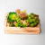 Mini Caixote Madeira Com suculentas Artificial18,5x11cm - Tuberias Comércio | Loja de Decoração, Presentes e Jardim