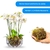 500g Musgo Verde Desidratadas Decoração Arranjos Flores - loja online
