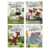 Kit com 4 Livros Amiguinhos para Colorir: Animais da Floresta Todolivro