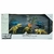Kit Dinossauros com Cenário Beast Alive Dino World Master Collection Brotossauro Verde Candide - comprar online