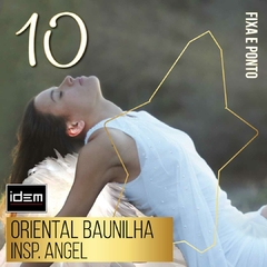 KIT PERFUME + HIDRATANTE FEMININO IDEM 10 - INSP. ANGEL