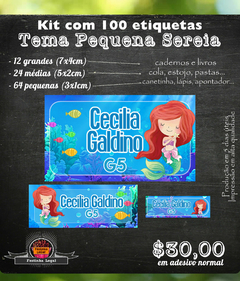 100 etiquetas material escolar Pequena Sereia - comprar online