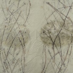 Ecoprint Casuarinas - comprar online