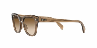 Ray Ban 3687 004/71 58 en internet