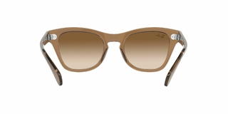 Ray Ban 3687 004/71 58