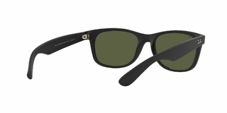 Ray Ban New Wayfarer 2132 622 55 en internet