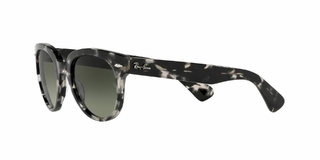 Ray Ban Orion 2199 133371 52 en internet