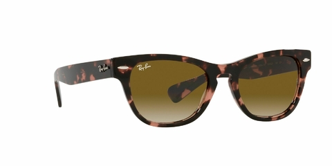 Imagen de Ray Ban Laramie 2201 133451 54