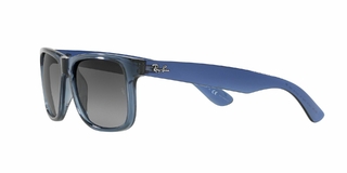 Ray Ban Justin 4165 6596T3 55 en internet