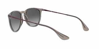 Ray Ban Erika 4171 65138G 54 - tienda online