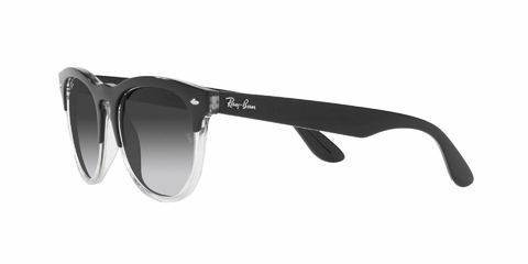 Ray Ban Iris 4471 66308G 54 - Tecni-Optica