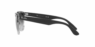 Ray Ban Iris 4471 66308G 54 - tienda online