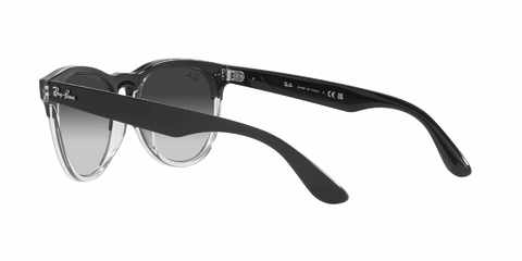 Imagen de Ray Ban Iris 4471 66308G 54